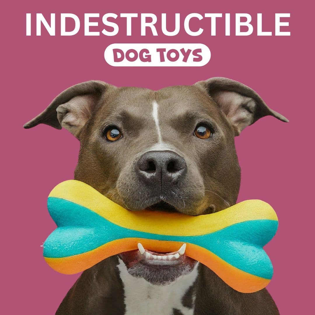 Best long lasting dog toys best sale