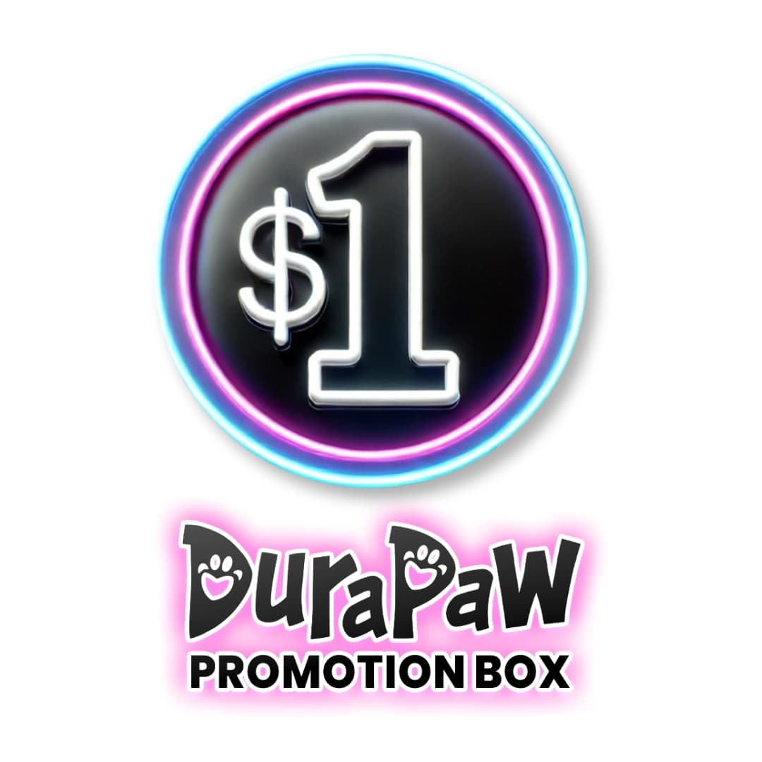 1 Dollar DuraPaw Dog Toy Treat Box Gift