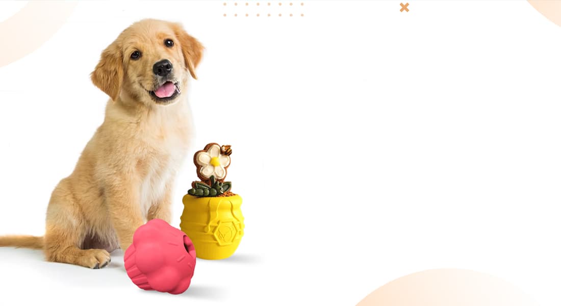 DuraPaw - Plush Dog Toys Canada