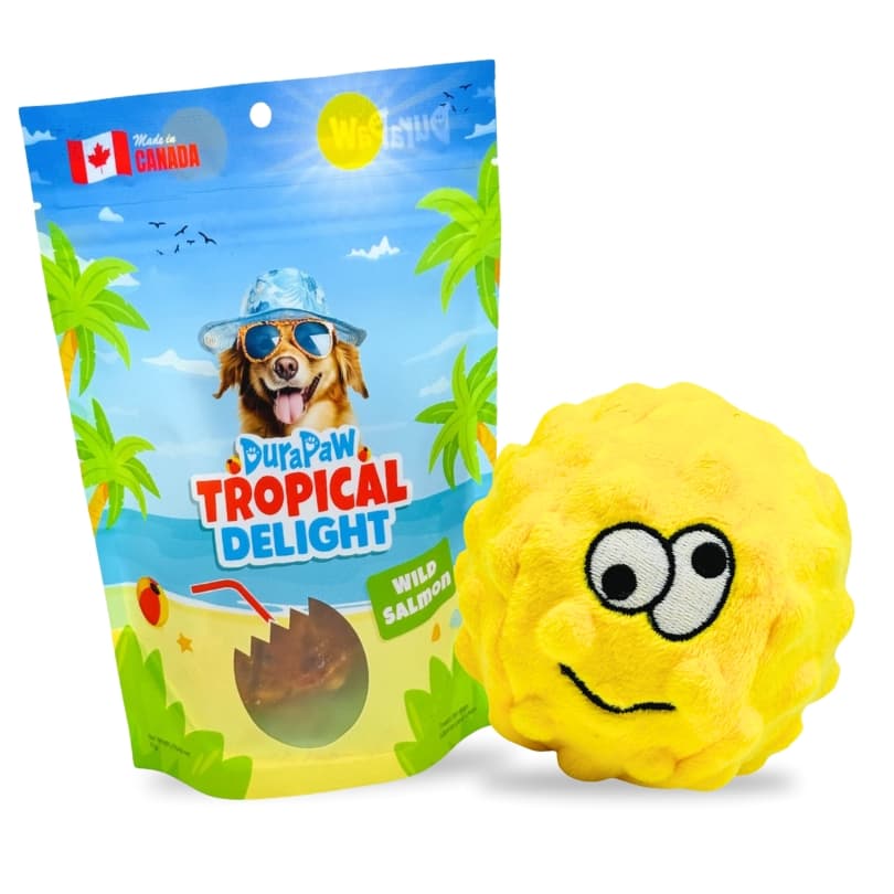 Dog Toy and Treat Bundle