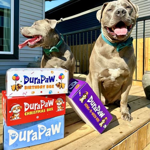 DuraPaw Holiday Monthly Dog Toy Boxes