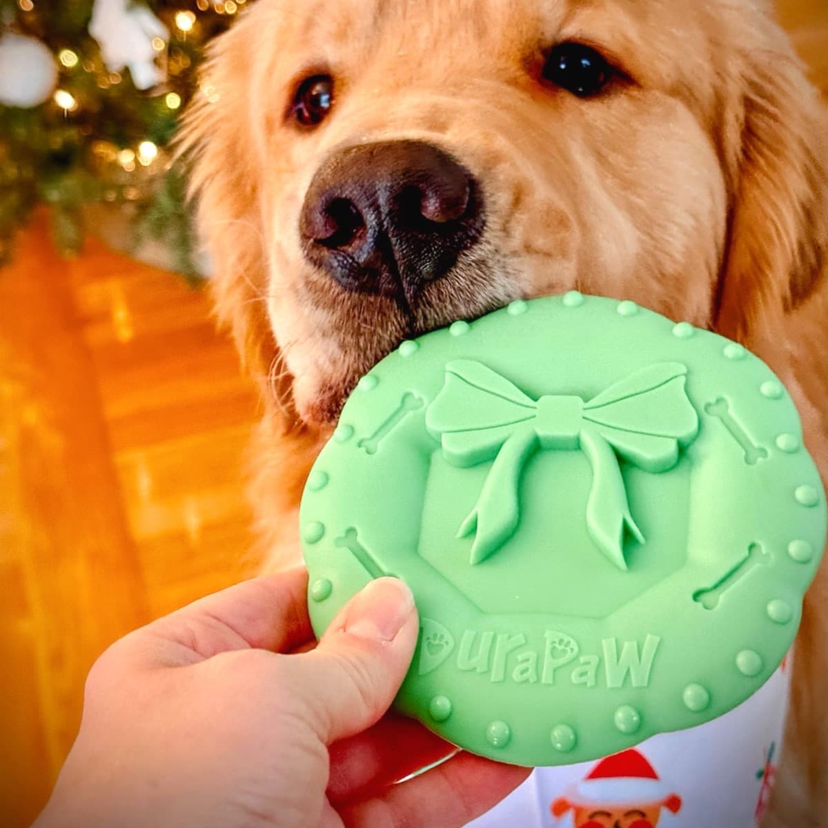 Dog Sniffing Chewing DuraPaw Green Christmas Wreath Nylon Tough Chew Toy