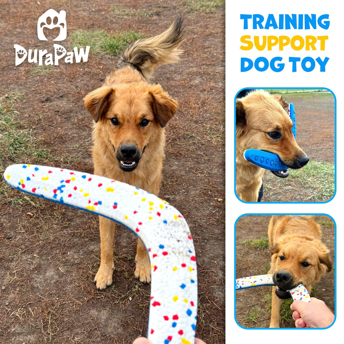 Dog Training Fetch Frisbee Boomerang Interactive Chase Toy