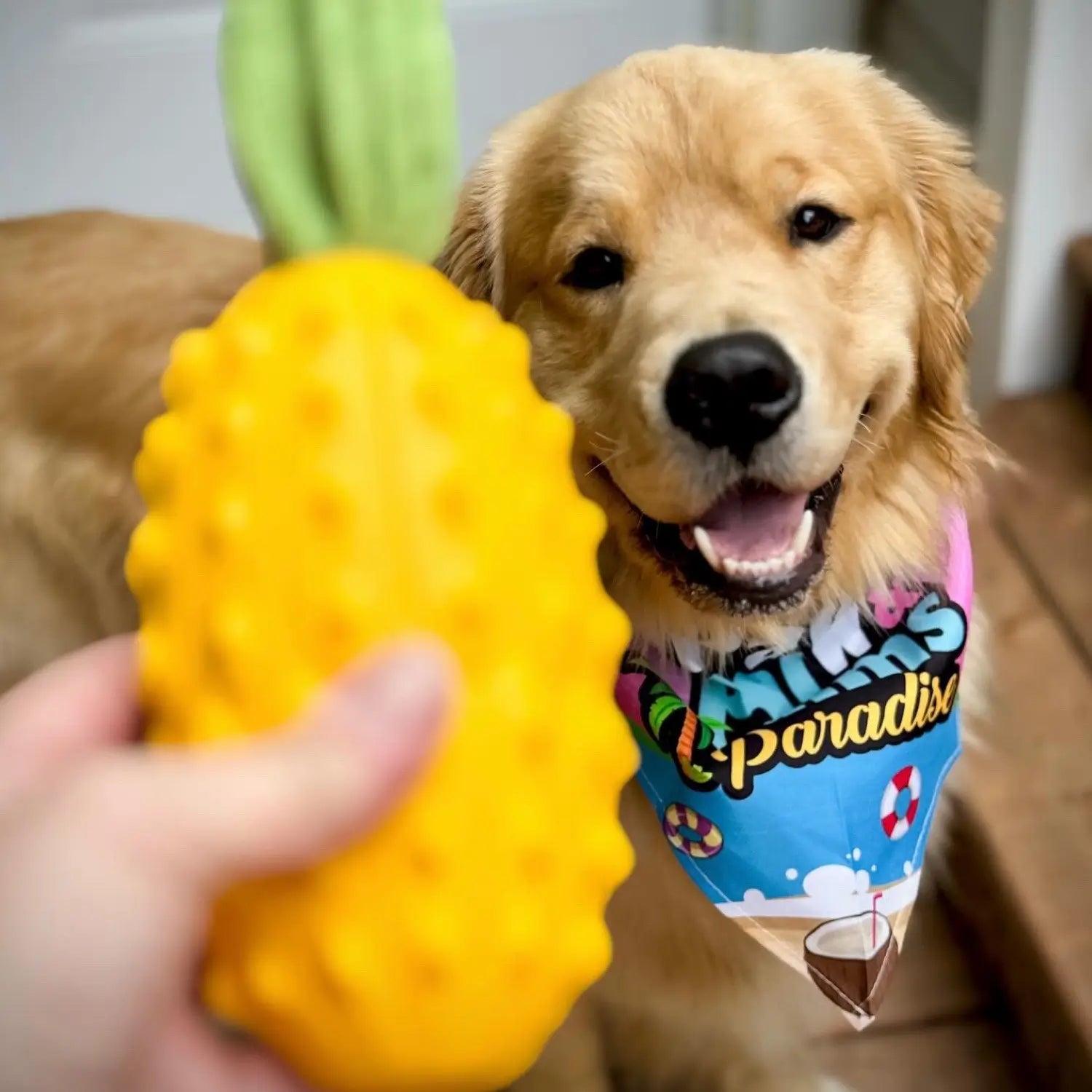 Durable Pineapple Squeaky Fun Dog Play Toy