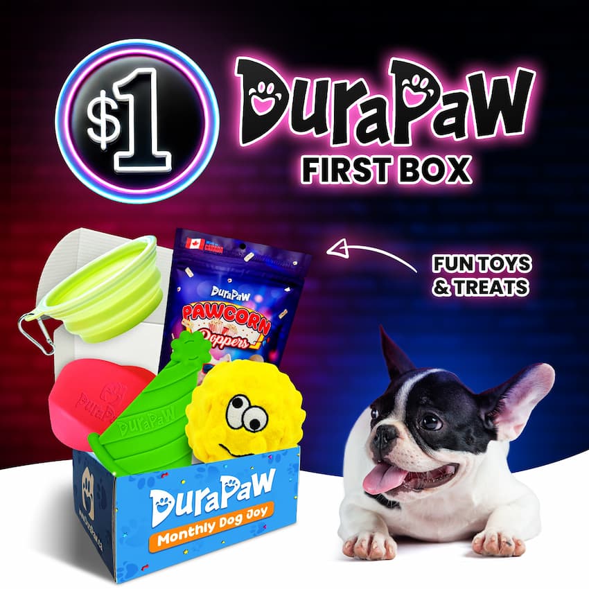 DuraPaw 1 Dollar Dog Toy Pet Treat Subscription Box Canada