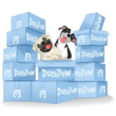 DuraPaw 12 Month Annual Plan Dog Subscription Box Cartoon Dog Box