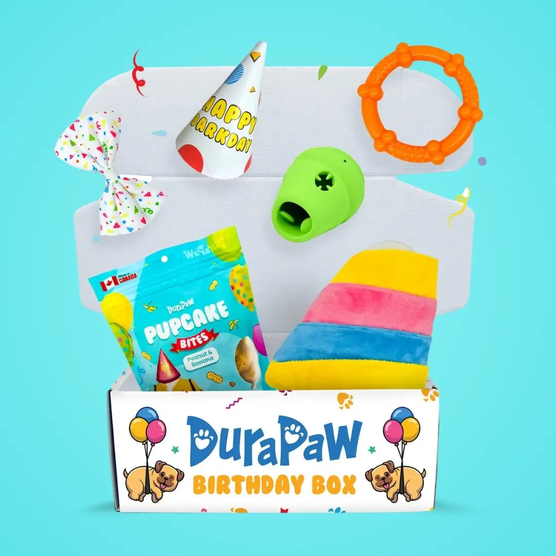 DuraPaw Special Occasion Holiday Dog Gift Boxes