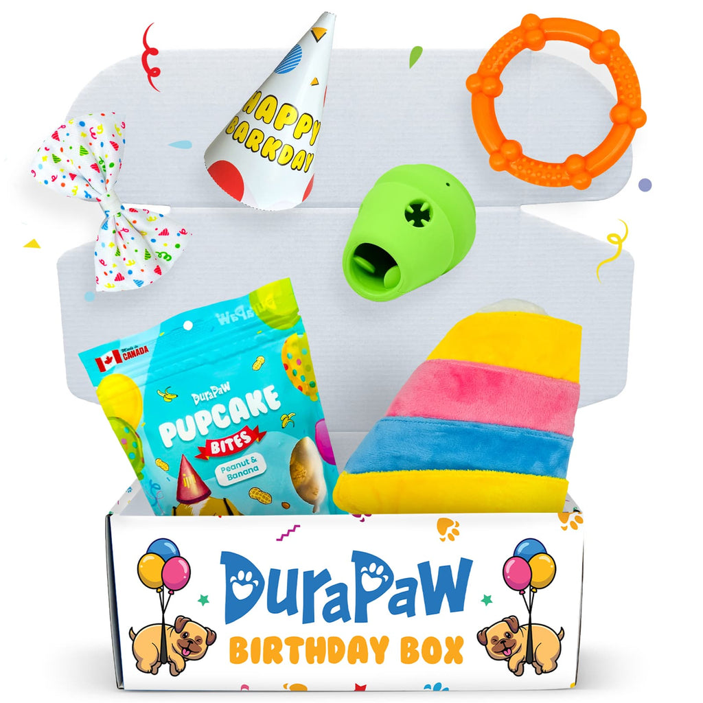 DuraPaw Dog Birthday Gift Box Present