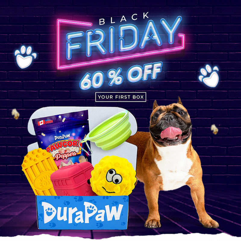 DuraPaw Black Friday Monthly Dog Toy Subscription Box Canada