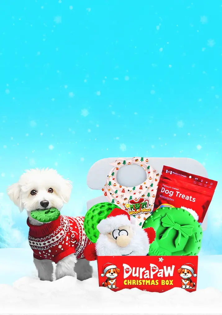 DuraPaw Christmas Dog Toy Treat Gift Box for Puppies