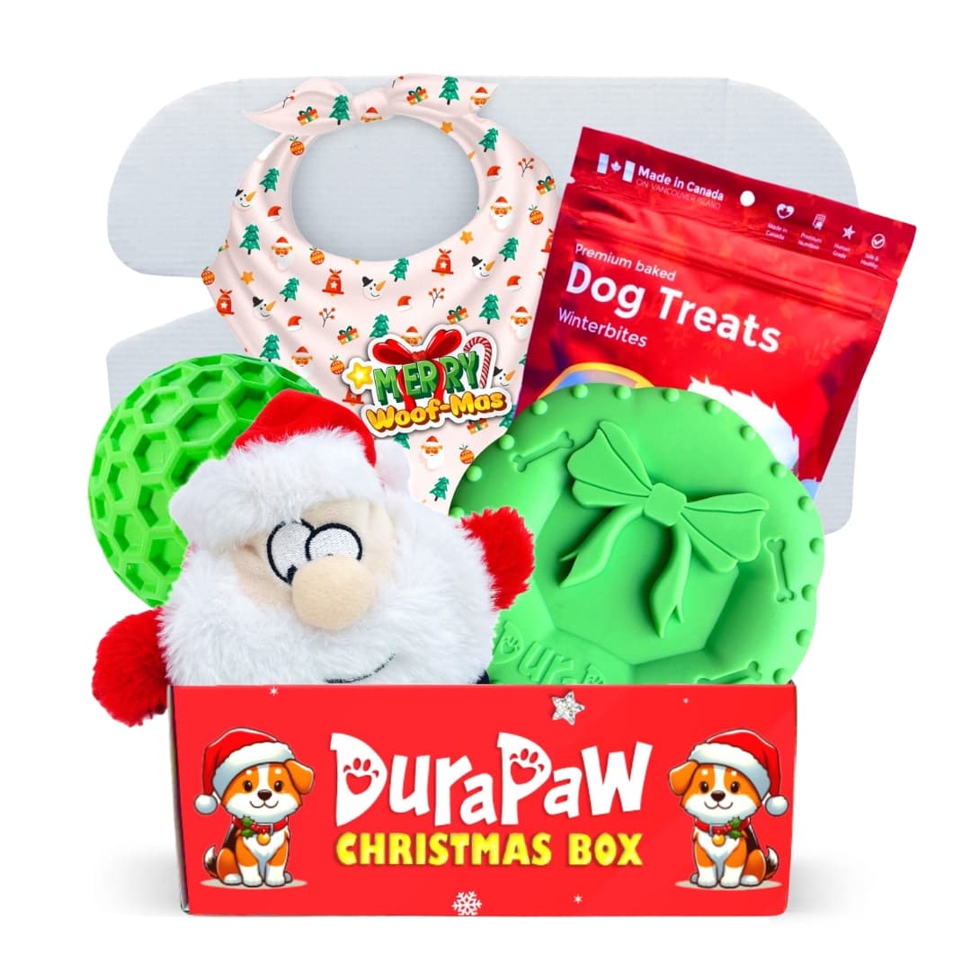 DuraPaw Christmas Dog Gift Box Present Idea