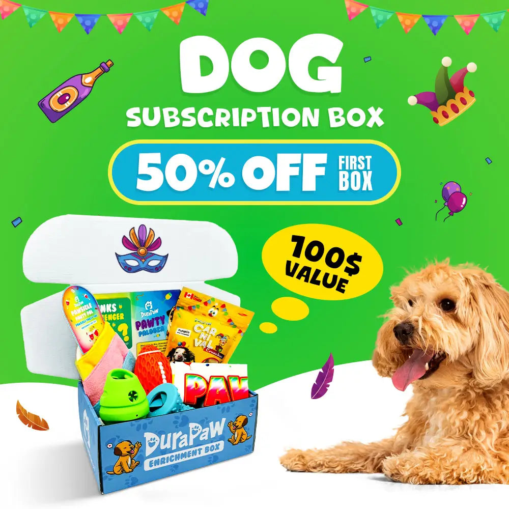 DuraPaw Monthly Dog Subscription Box Canada