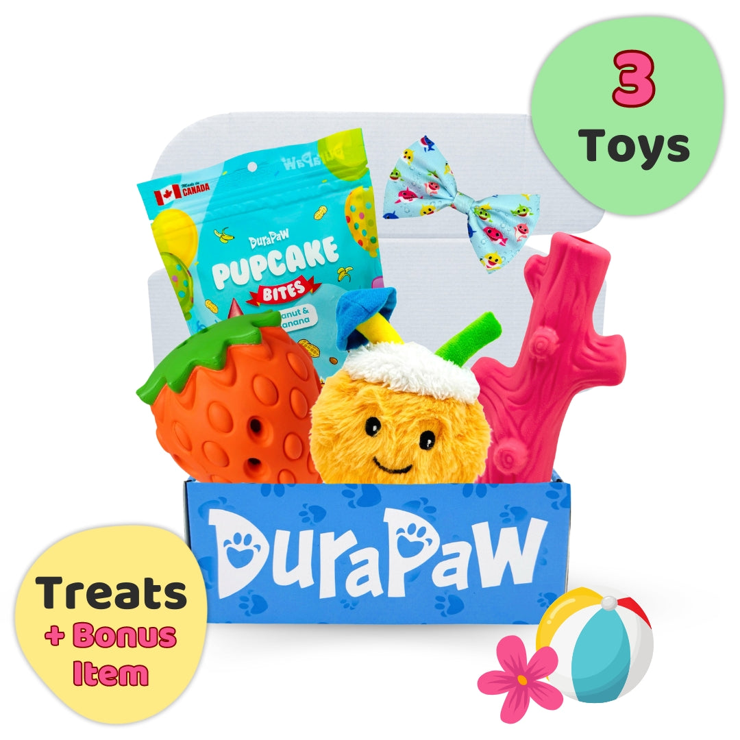 DuraPaw Puppy Dog Toy Subscription Box