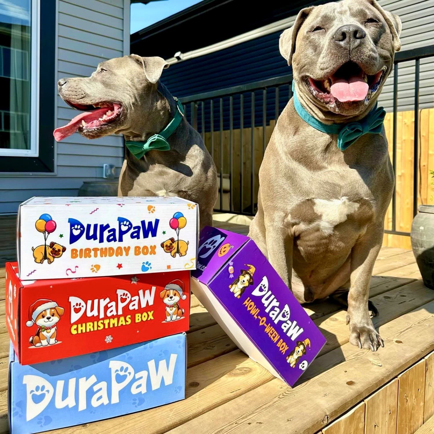 DuraPaw Holiday Dog Subscription Boxes