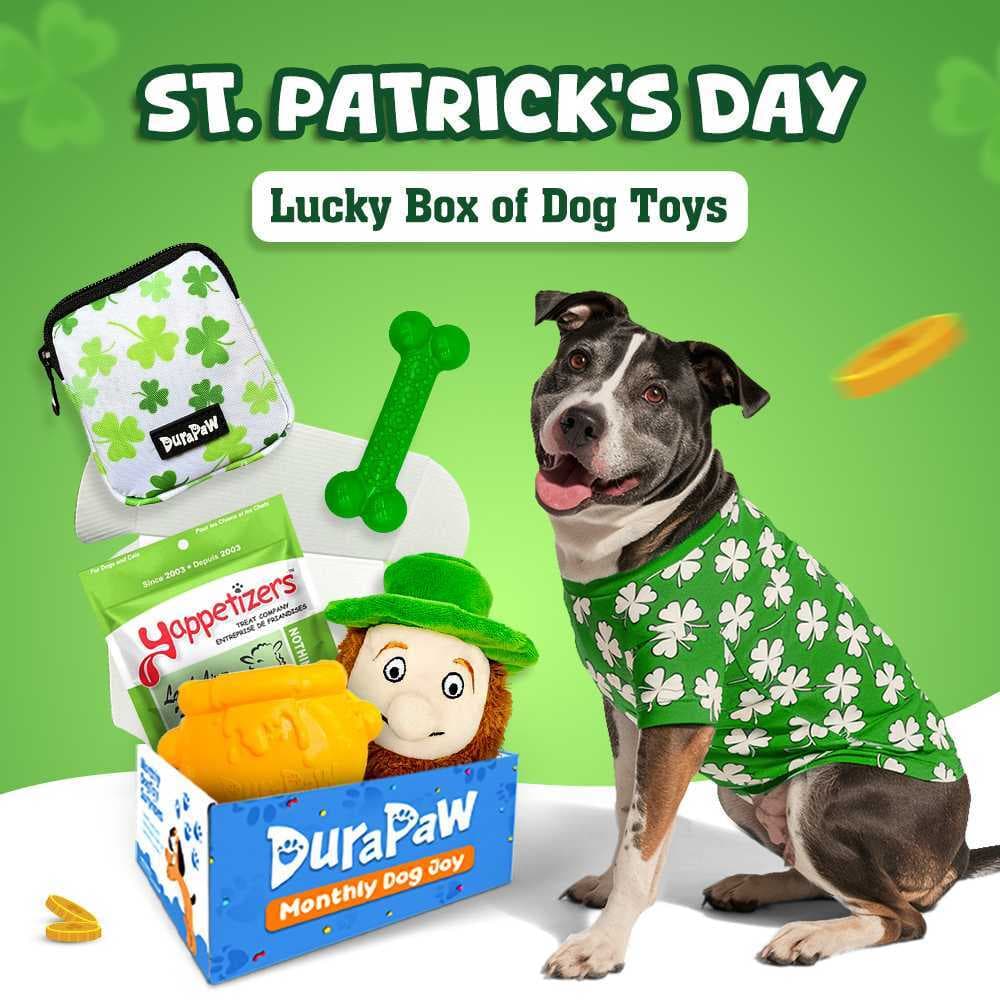 DuraPaw St Patrick's Day Monthly Theme Lucky Box of Dog Toy Subscription Box