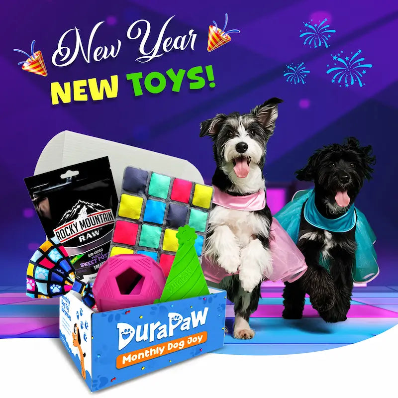 DuraPaw Monthly Dog Toy Subscription Box New Years Disco Party Theme Pack