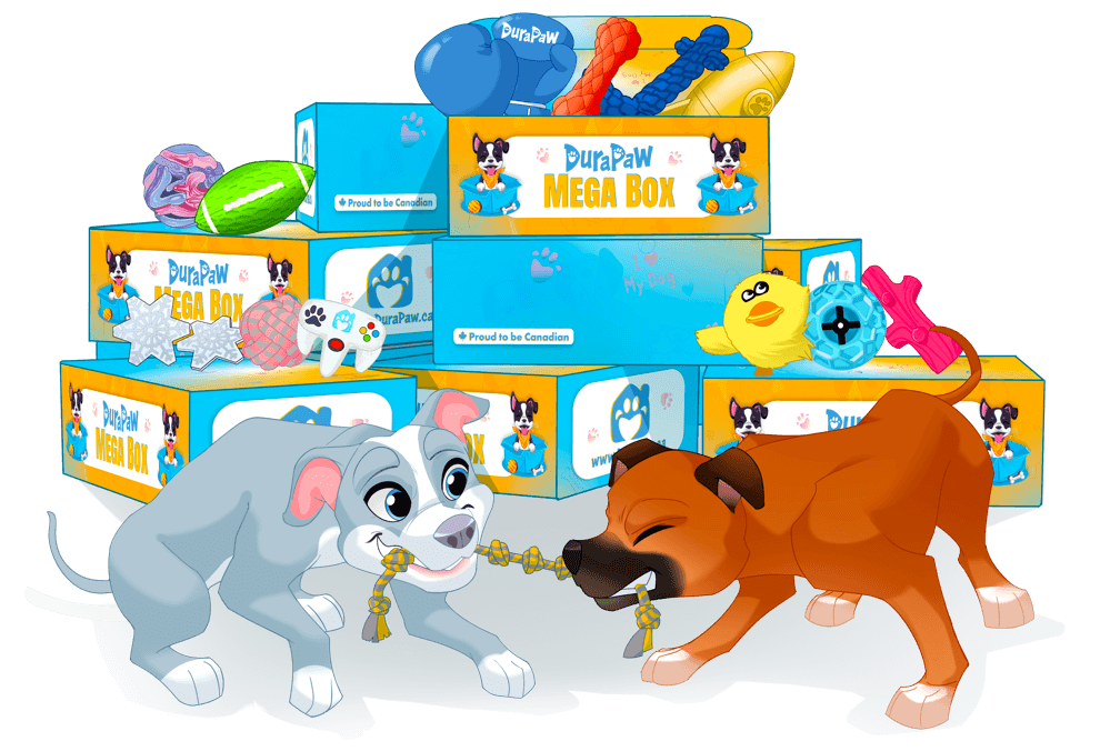 DuraPaw Multi Dog Subscription Box For Sharing Toys