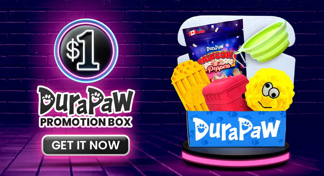 DuraPaw $1 Dollar Dog Toy Box Promotion Offer Black Friday