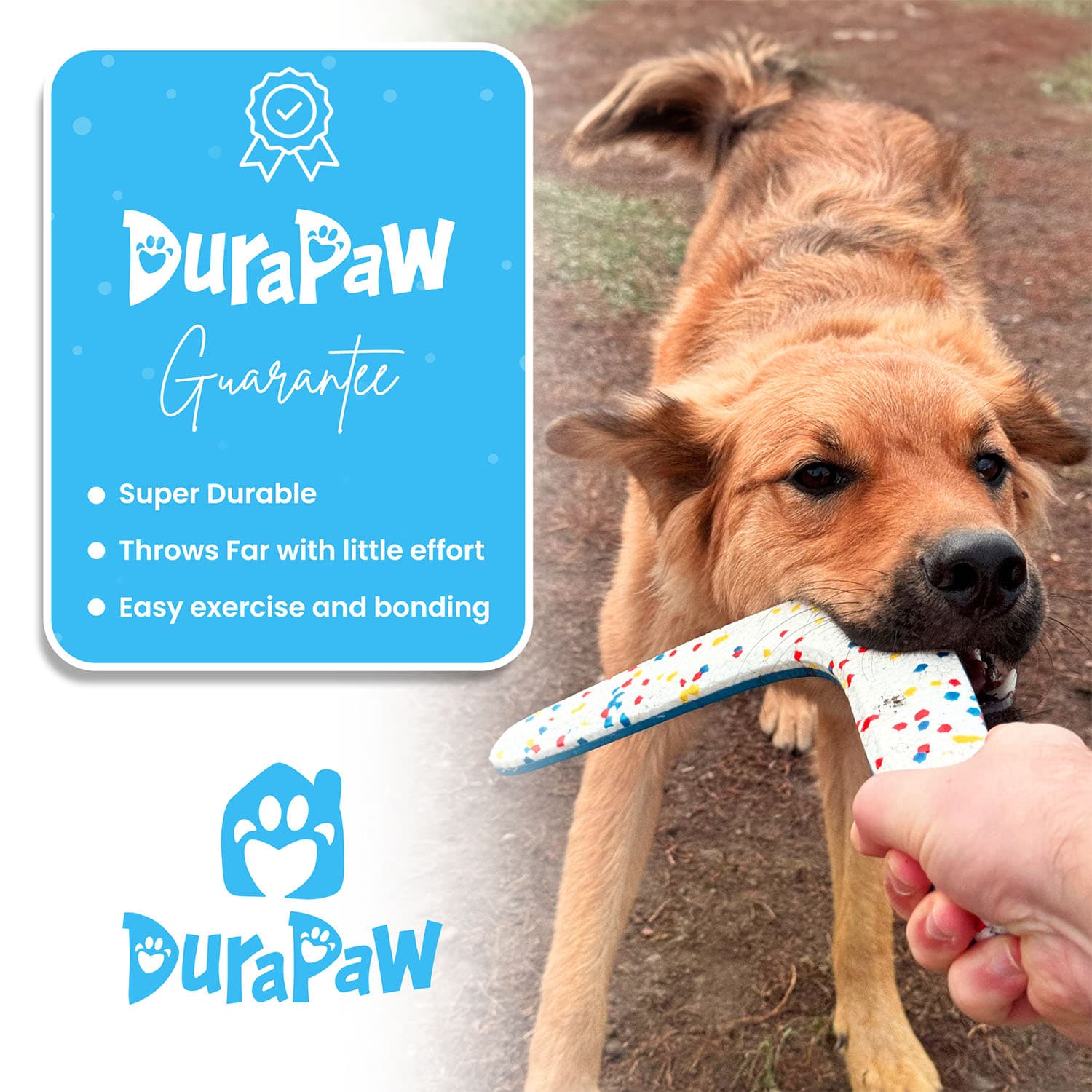 DuraPaw Training Fetch Interactive Dog Toy