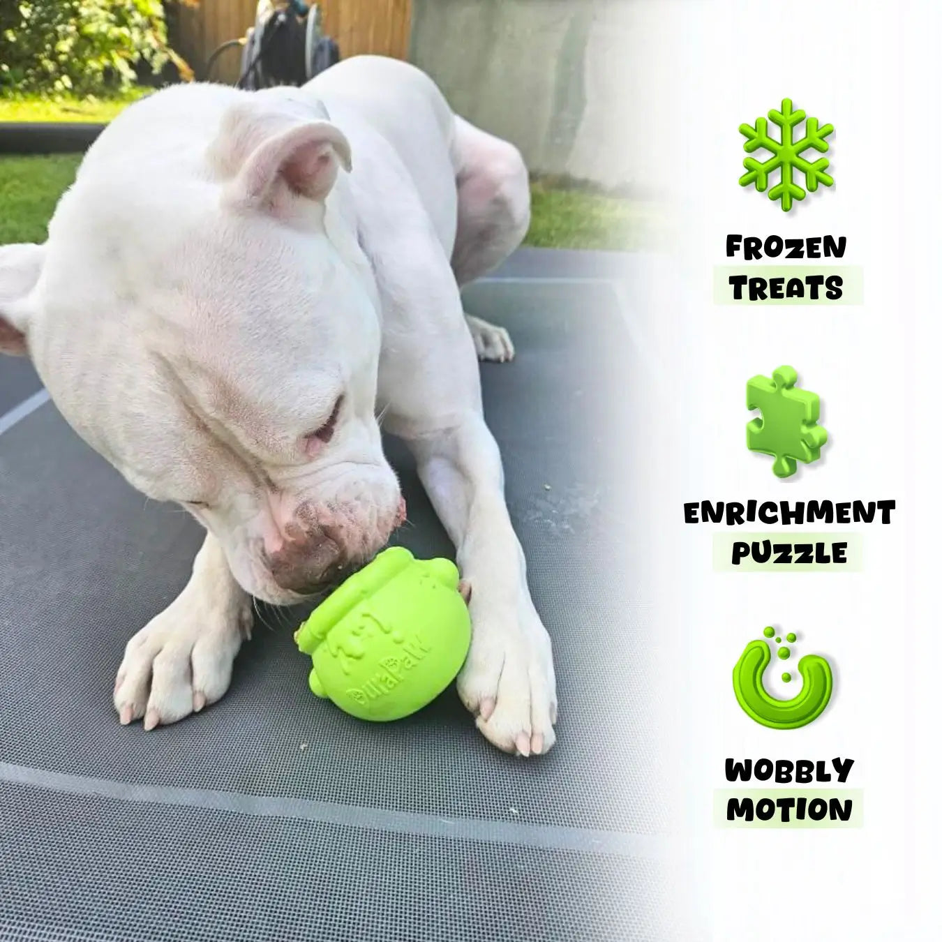 Dog Enrichment Cauldron Toppler Bowl Feeder