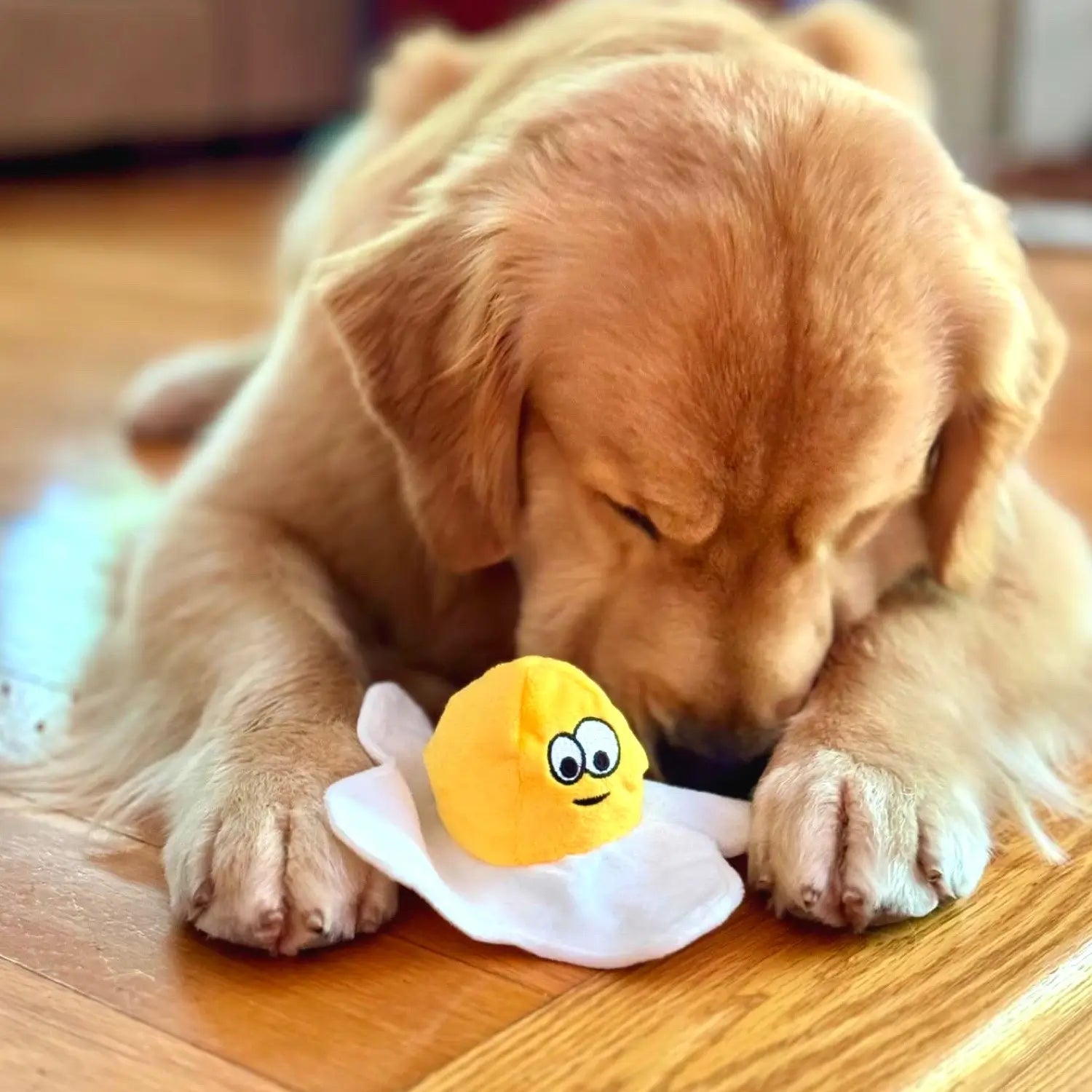 Golden Retriever Breed Chewing 2 in 1 Egg Dog Toy