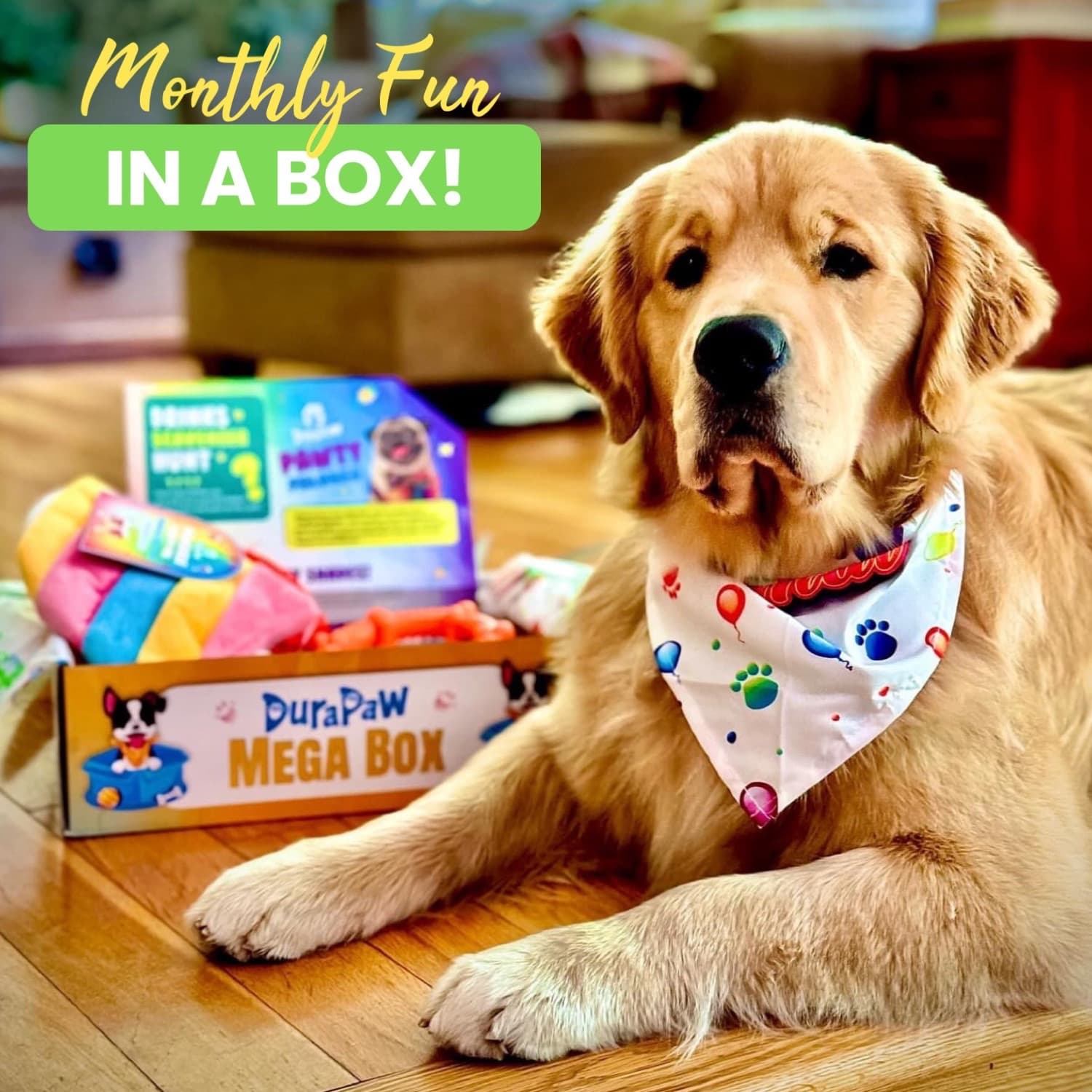 Multi Pet Subscription Box Dog Toys Treats Canada