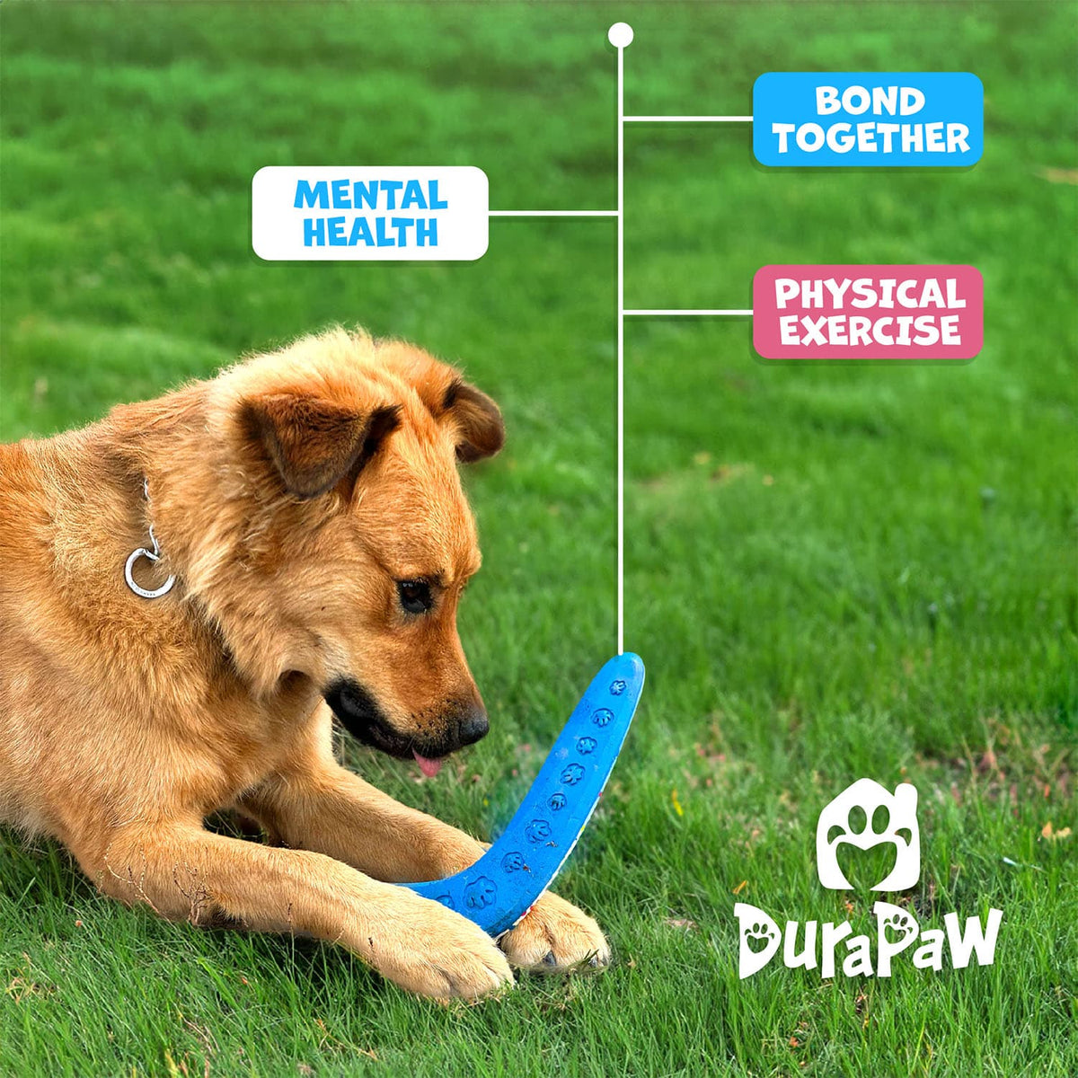 DuraPaw Outdoor Dog Fetch Frisbee Boomerang Puppy Toy Benefits