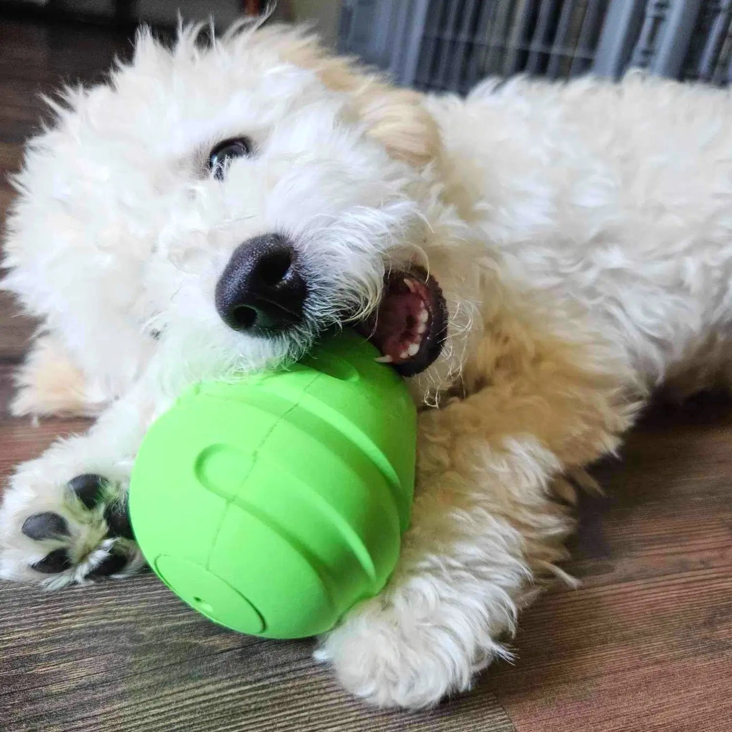 Puppy Dog Toppler Feeder Green Chew Toy