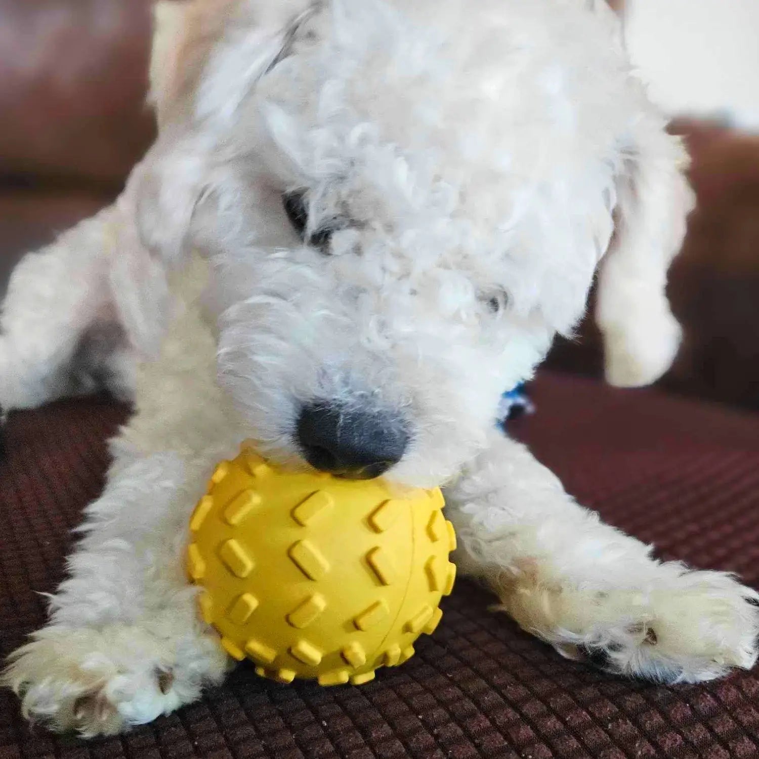 Puppy Yellow Ball Toy Treat Dispenser