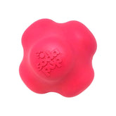 Durable Dog Crazy Bounce Throw Ball