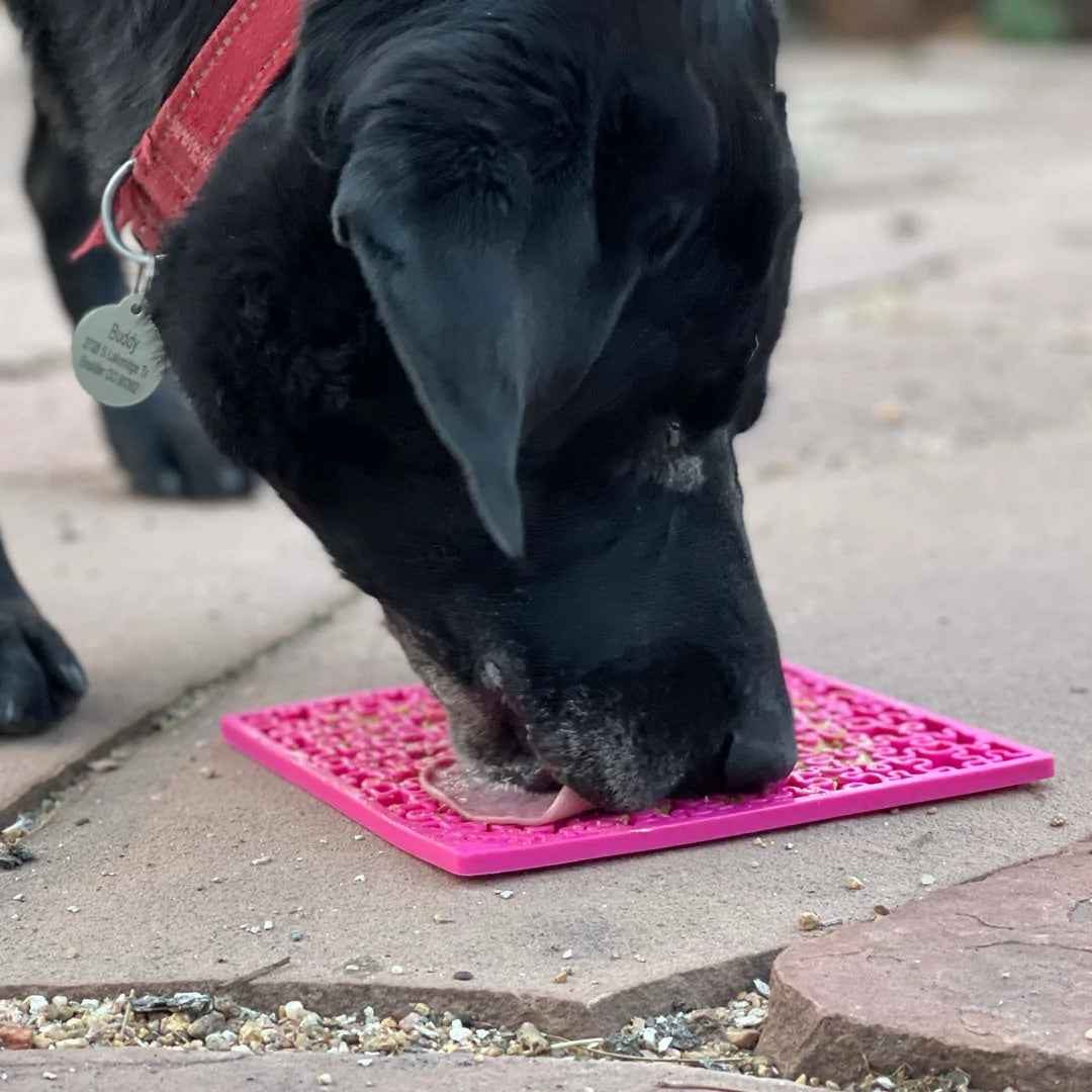 Dog Lick Mat Recipe Ideas