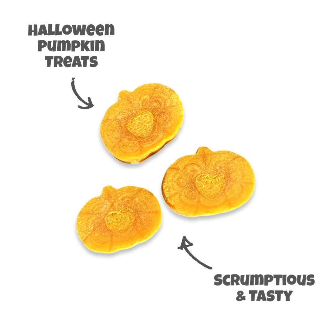 DuraPaw Pumpkin Dog Treats Canada