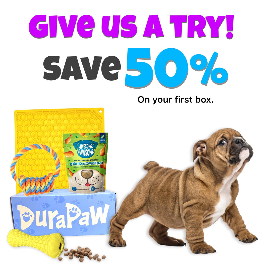 Ultimate Dog Toy Enrichment Subscription Box in Canada DuraPaw